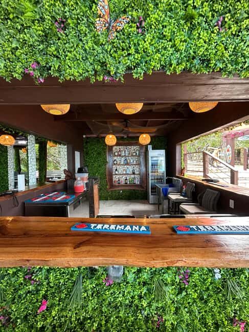 Nassau: Reef Snorkeling, Turtles, Lunch & Private Beach Club - An In-Depth Look at the Nassau Reef Snorkeling Tour