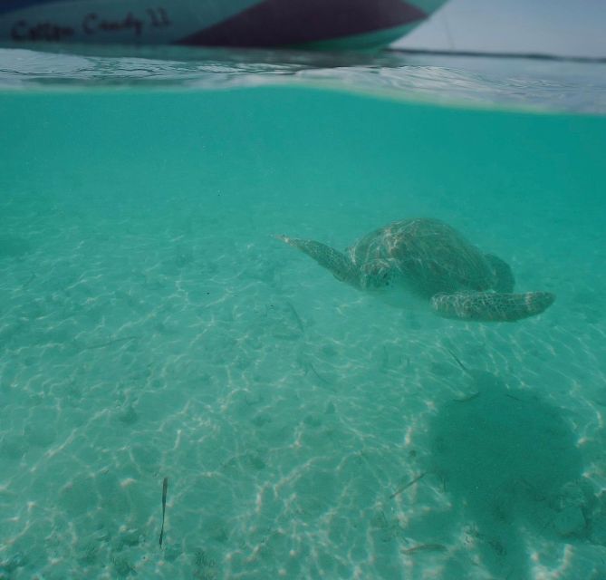 Nassau: Reef Snorkeling, Turtles, Lunch & Private Beach Club - Booking Details