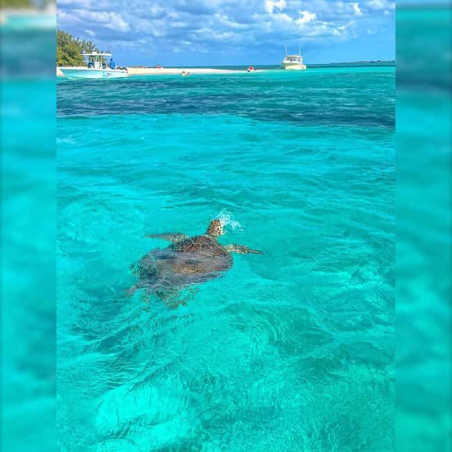 Nassau: Rose 3-Island Tour with Snorkeling and Lunch - What Reviewers Are Saying