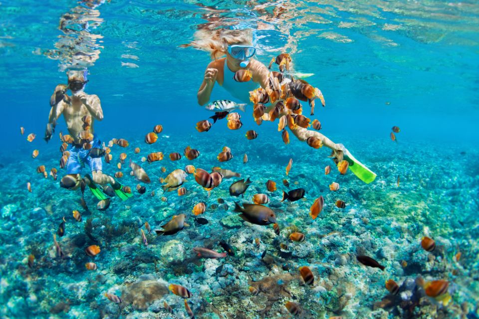 Nassau: Rose Island Boat Tour W/ Snorkeling & Swimming Pigs - Key Points