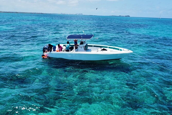 Nassau, Rose Island Private Swimming Pigs, Island Hopping Tour - Tour Overview