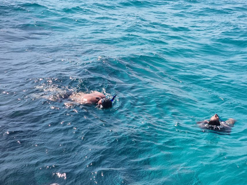 Nassau: Rose Island Snorkel, Turtles & Beach Speedboat Tour - Key Points