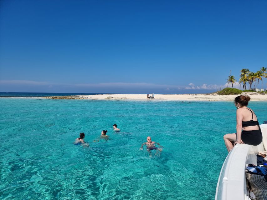 Nassau: Rose Island Snorkel, Turtles & Beach Speedboat Tour - Snorkeling at the Reef