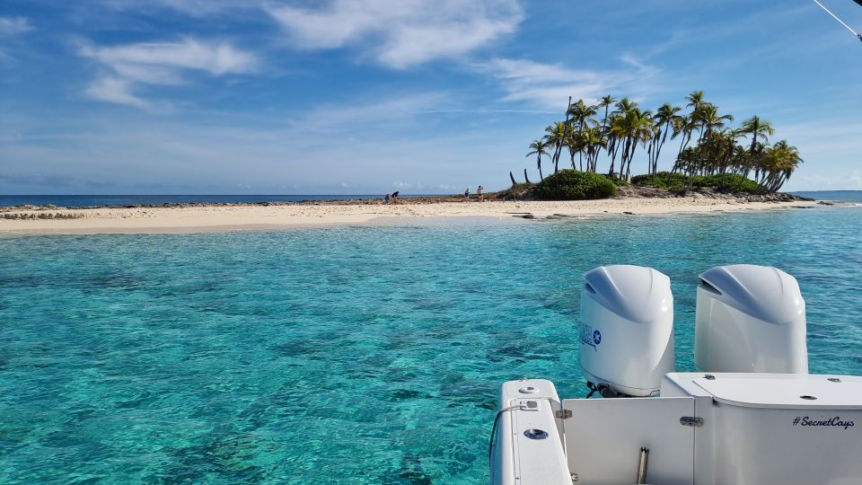Nassau: Rose Island Snorkel, Turtles & Beach Speedboat Tour - Observing Sea Turtles