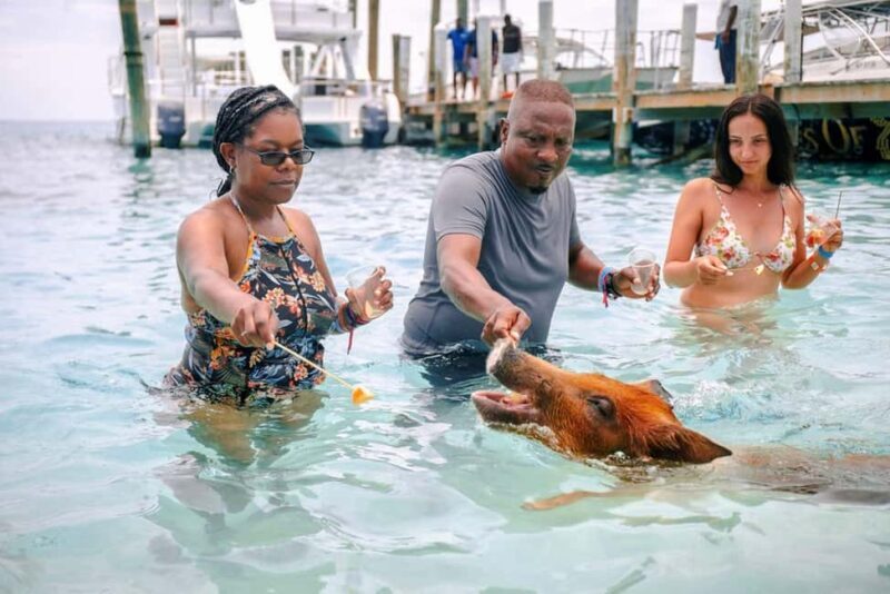 Nassau: Rose Island Swimming Pigs and Beach Day Group Tour - What to Expect from the Tour