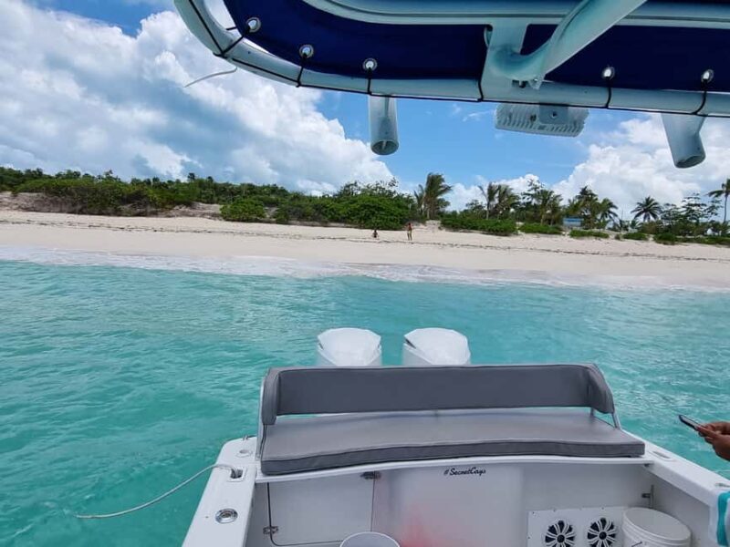 Nassau: Rose Island Swimming Pigs & Turtles Snorkeling Tour - Key Points