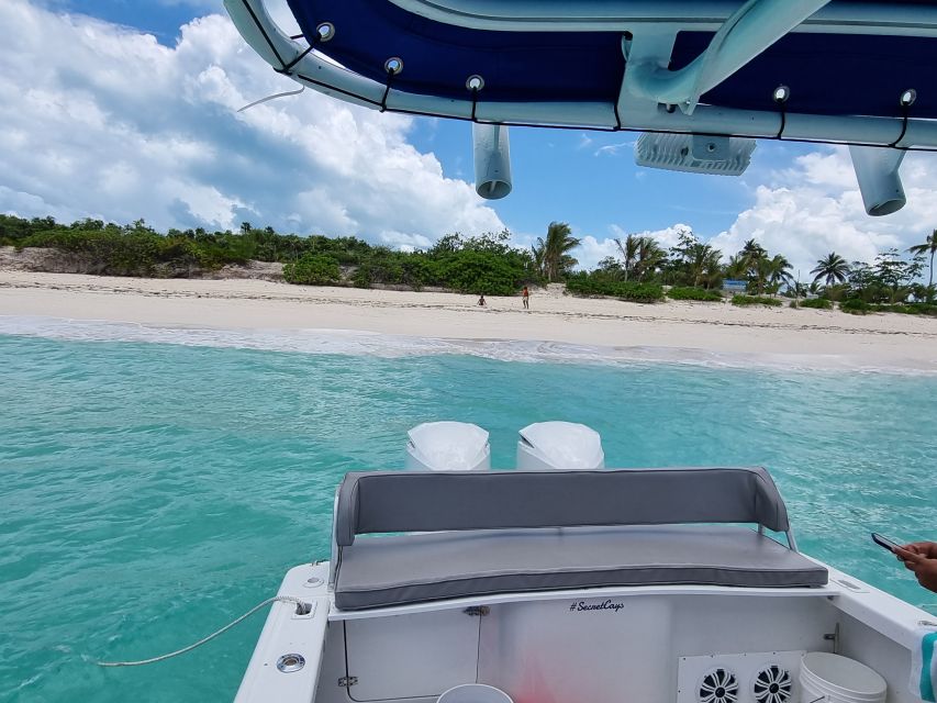 Nassau: Rose Island Swimming Pigs & Turtles Snorkeling Tour - Powerboat Ride