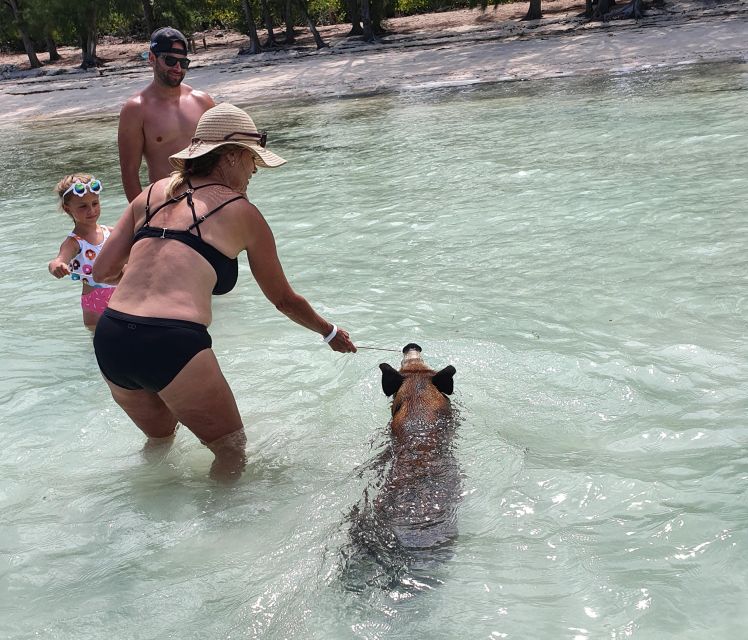 Nassau: Rose Island Swimming Pigs & Turtles Snorkeling Tour - Captain and Guide