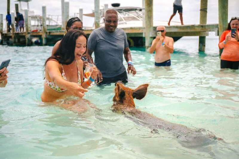 Nassau: Rose Island's Sand Dollar Beach Resort - An Overview of the Rose Island Experience