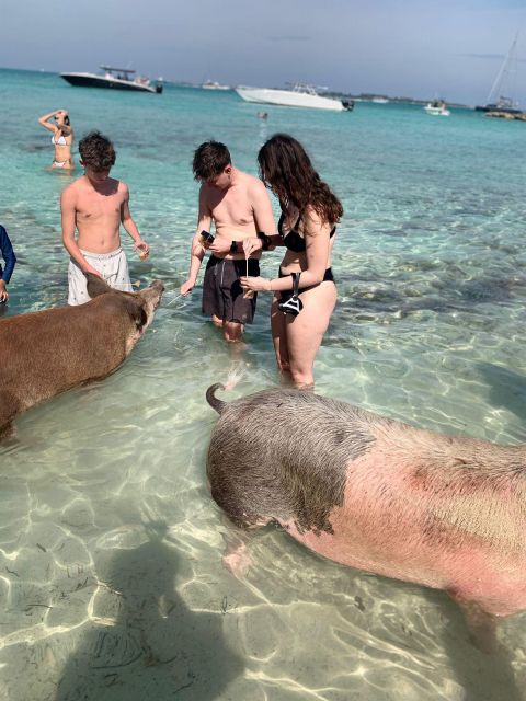 Nassau: Self-Drive Speedboat Ride and Pig Swimming Encounter - Restrictions and Considerations