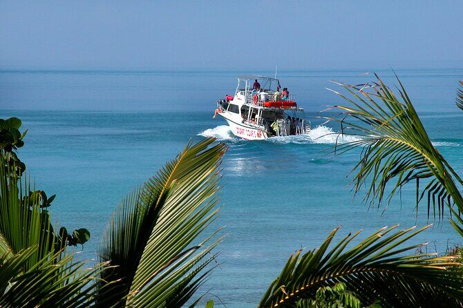 Nassau Shore Excursion: Bahamas Snorkel Adventure - Final Thoughts