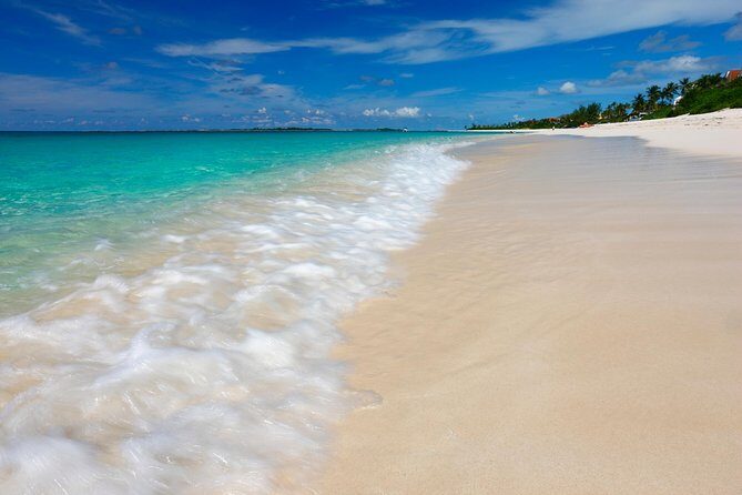 Nassau Shore Excursion: Sightseeing and Snorkeling Tour - Shopping at the Straw Market