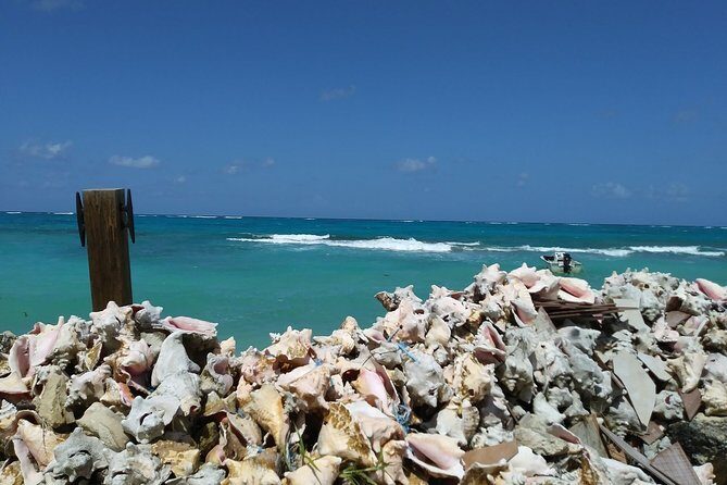 Nassau Shore Excursion: Sightseeing and Snorkeling Tour - Nirvanna Love Beach: Snorkeling and Relaxation