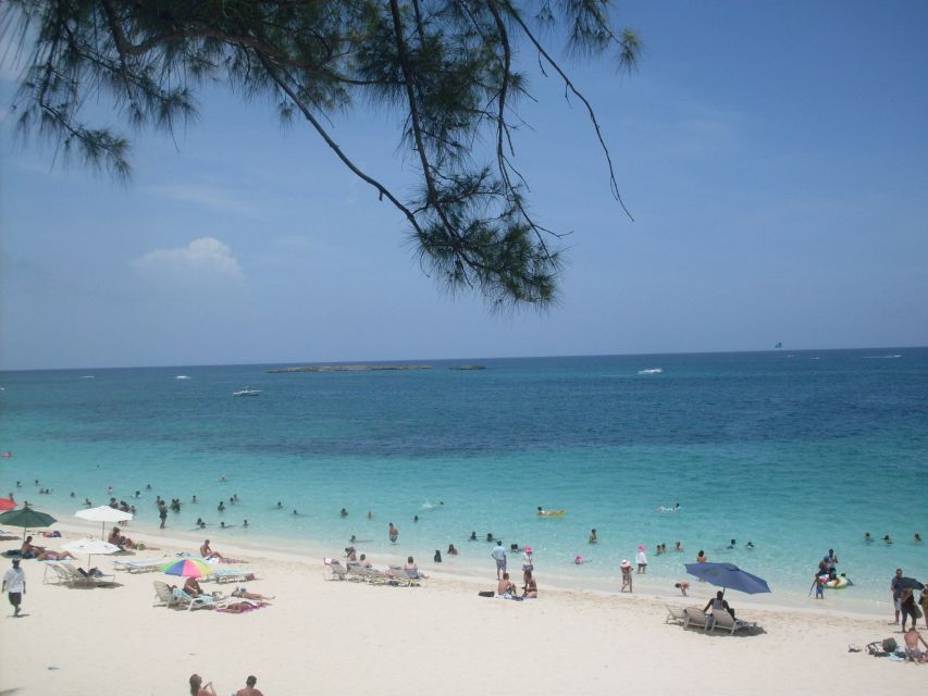 Nassau Sightseeing Bus Tour - Pricing and Cancellation Policy