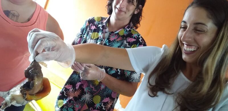 Nassau: Sip, Sample & See, Food & History Bus Tour - An Overview of the Experience