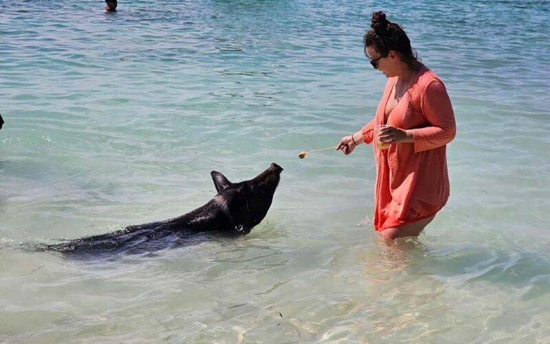 Nassau: Snorkeling, Pig Beach, Swim with Turtles, and Lunch - In-Depth Review of the Nassau Catamaran Tour