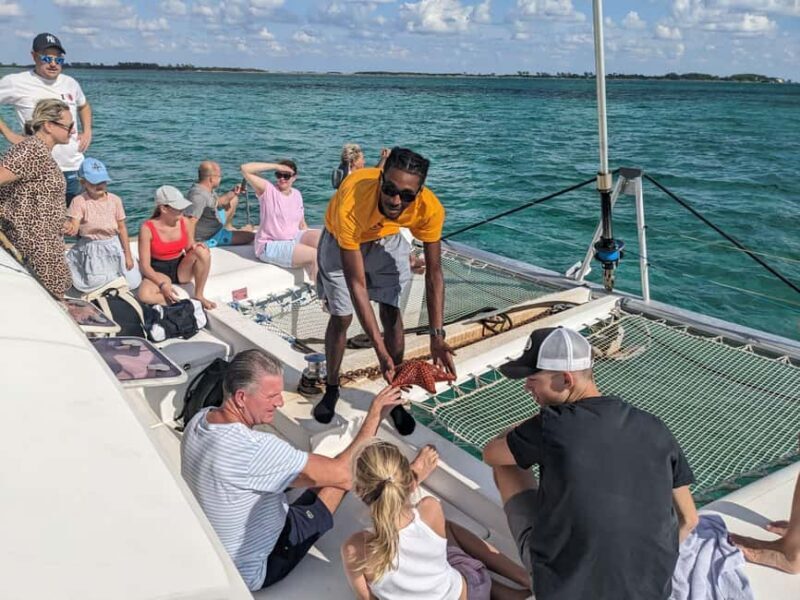 Nassau: Snorkeling, Pig Beach, Swim with Turtles, and Lunch - The Best Fit for This Tour