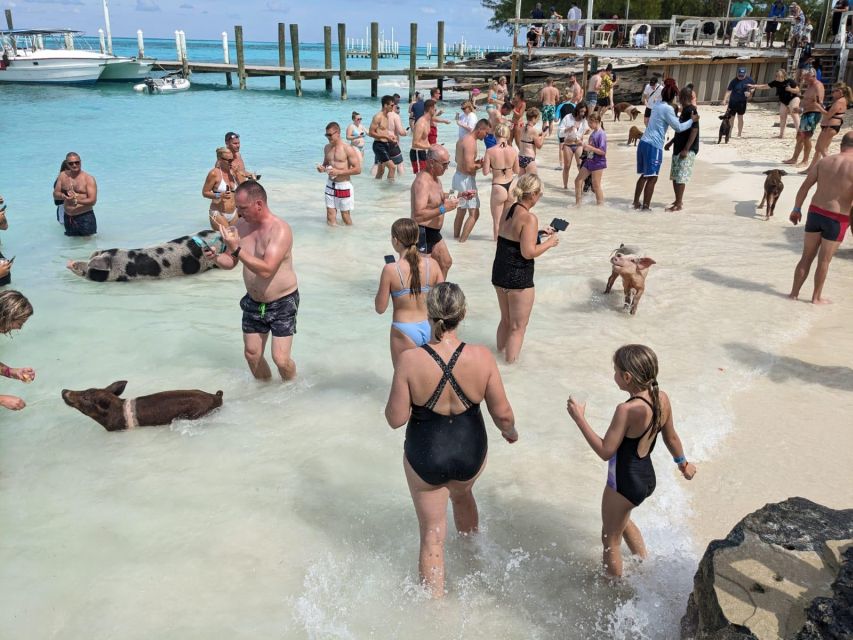 Nassau: Snorkeling, Pig Beach, Swim With Turtles, and Lunch - Catamaran Cruise