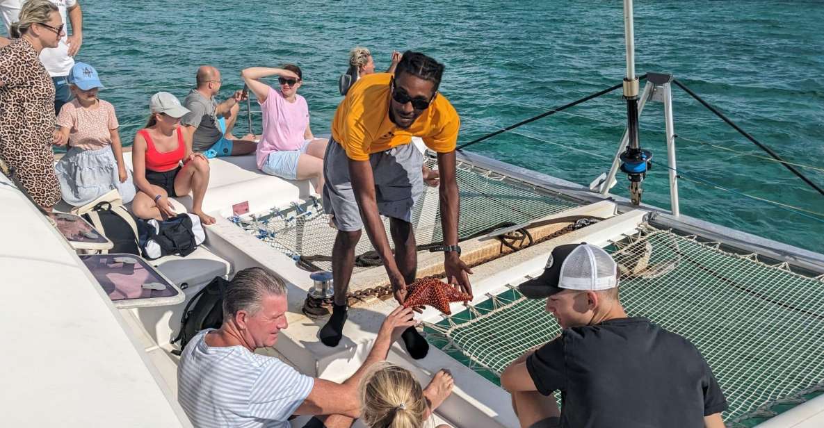 Nassau: Snorkeling, Pig Beach, Swim With Turtles, and Lunch - Snorkeling Experiences