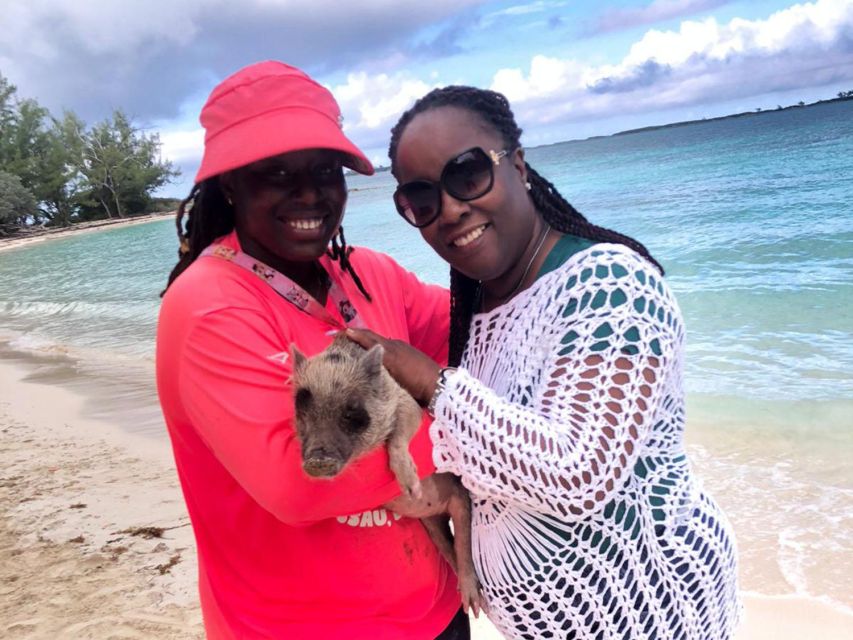Nassau: Snorkeling, Pig Beach, Swim With Turtles, and Lunch - Swimming With Turtles