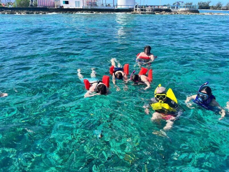 Nassau: Snorkeling, Swimming Pigs, Turtles & beach bar - A close look at the tour experience