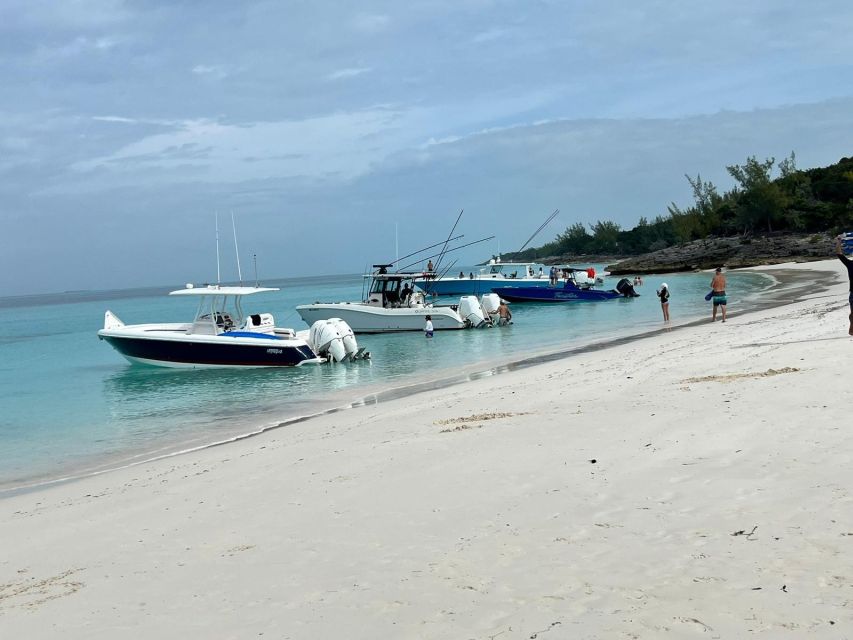 Nassau: Snorkeling, Swimming Pigs, Turtles & Beach Bar - Starting Location and Availability