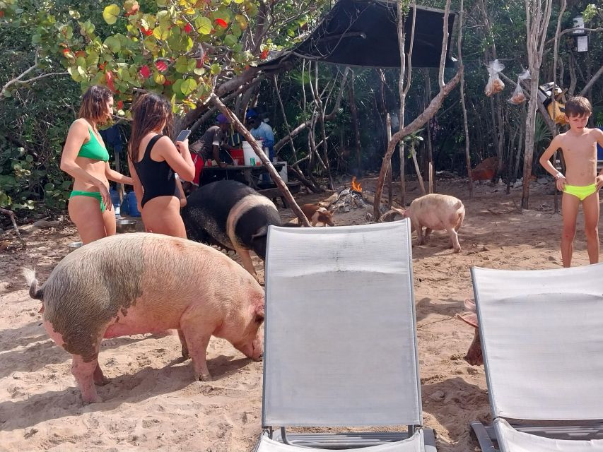 Nassau: Snorkeling, Swimming Pigs, Turtles & Beach Bar - Cancellation Policy