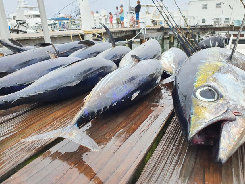 Nassau: Sport-Fishing Private Charter . - Fishing Styles