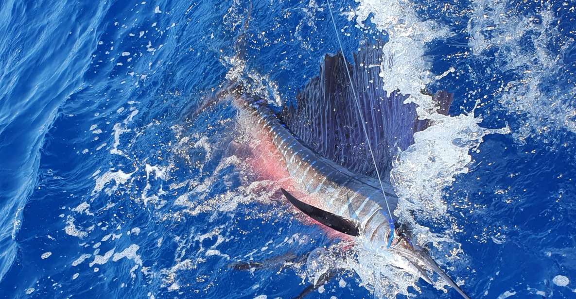 Nassau: Sport-Fishing Private Charter . - Inclusions