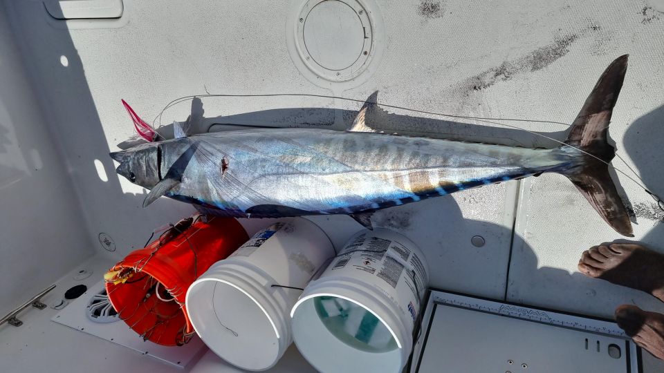 Nassau: Sport-Fishing Private Charter . - Private Group Experience