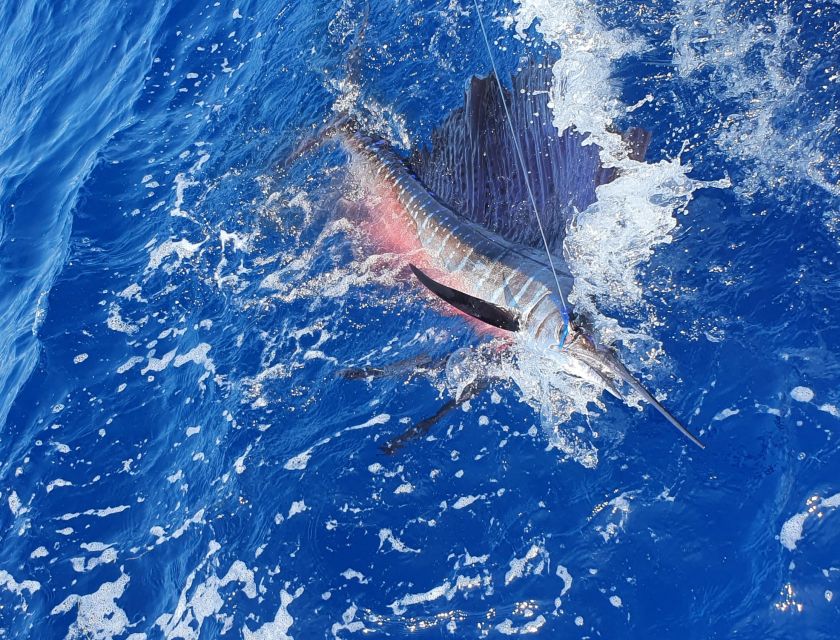 Nassau: Sport-Fishing Private Charter . - Cancellation Policy