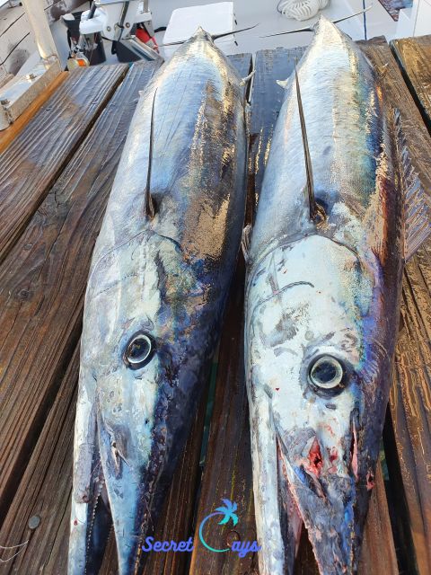 Nassau: Sport-Fishing Private Charter . - Frequently Asked Questions