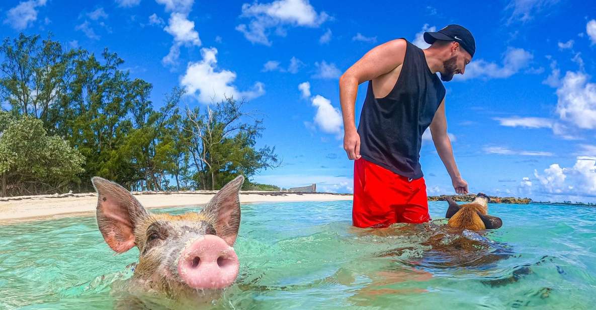 Nassau: Sun Cay and Swimming Pigs Boat Trip With Lunch - Inclusions