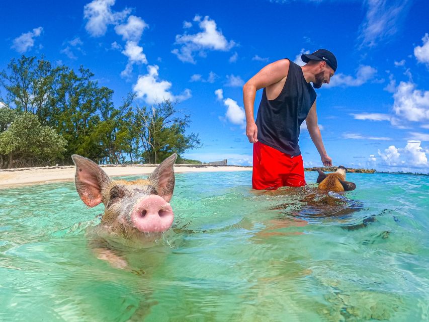 Nassau: Sun Cay and Swimming Pigs Boat Trip With Lunch - Boat Trip to Sun Cay