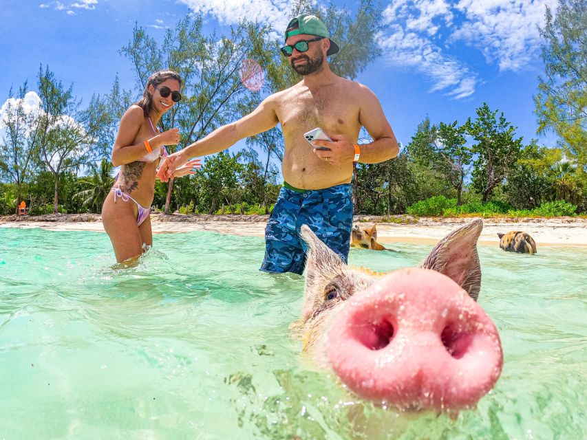 Nassau: Sun Cay and Swimming Pigs Boat Trip With Lunch - Pig Beach Visit