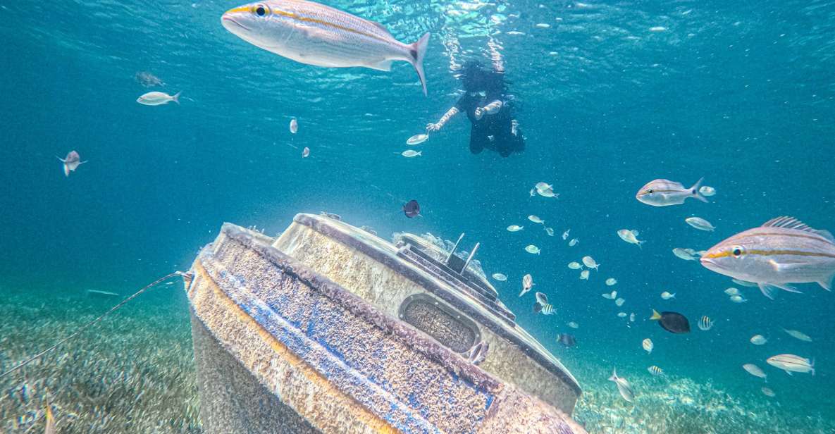 Nassau: Sun Cay Day Trip, Snorkel, Iguana Encounter, & Lunch - Key Points