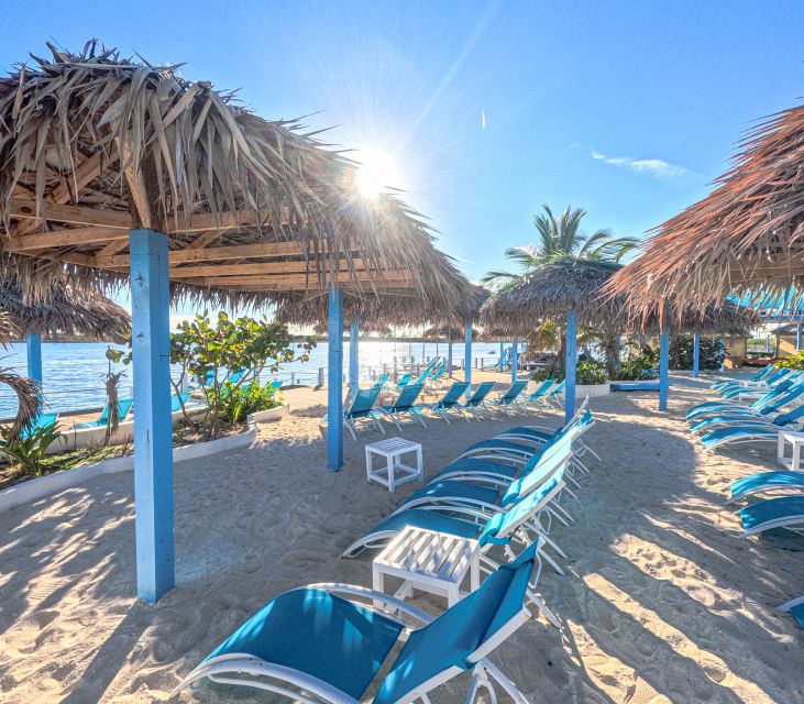 Nassau: Sun Cay Day Trip, Snorkel, Iguana Encounter, & Lunch - Included Amenities and Gear