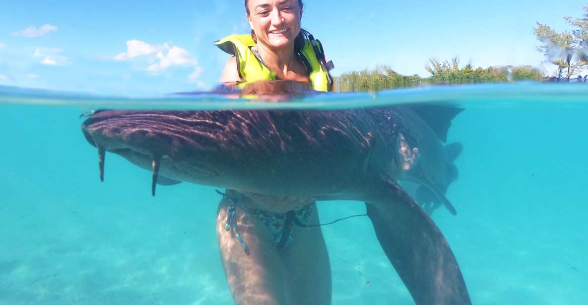 Nassau: Swim With Sharks, Swimming Pigs Tour - Speedboat Transfers