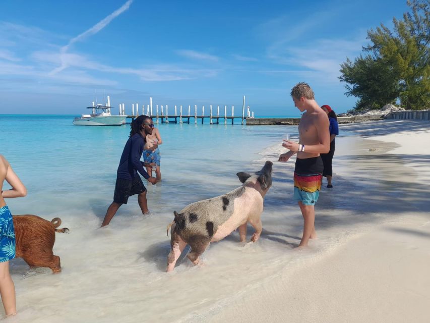 Nassau: Swim With Sharks, Swimming Pigs Tour - Hidden Gem Visit
