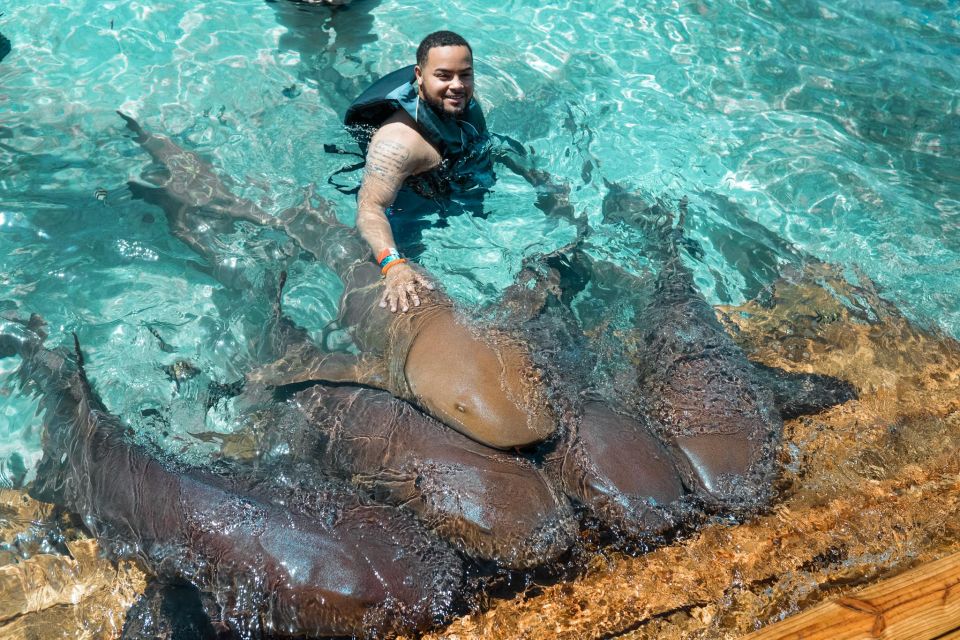 Nassau: Swim With Sharks, Swimming Pigs Tour - Feed Swimming Pigs