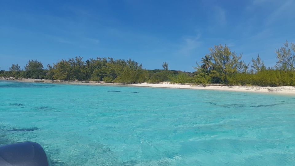 Nassau: Swim With Sharks, Swimming Pigs Tour - Inclusions and Restrictions