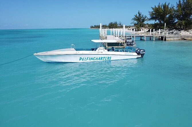 Nassau: Swimming Pigs And Snorkel With Turtles - Final Thoughts