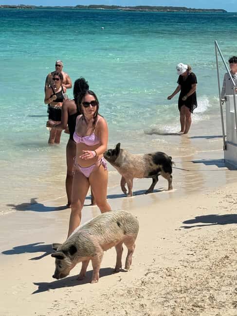 Nassau: Swimming Pigs and Turtles Boat Tour with Snorkeling - Why This Tour Stands Out