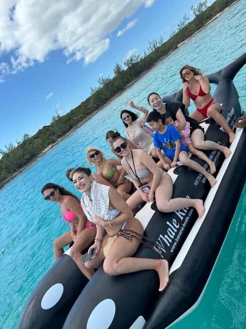 Nassau: Swimming Pigs and Turtles Boat Tour with Snorkeling - Value and Cost Considerations