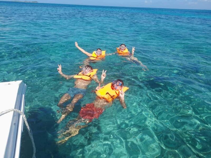 Nassau: Swimming Pigs Private Boat Tour - Up to 7 Persons - How It Compares to Other Experiences
