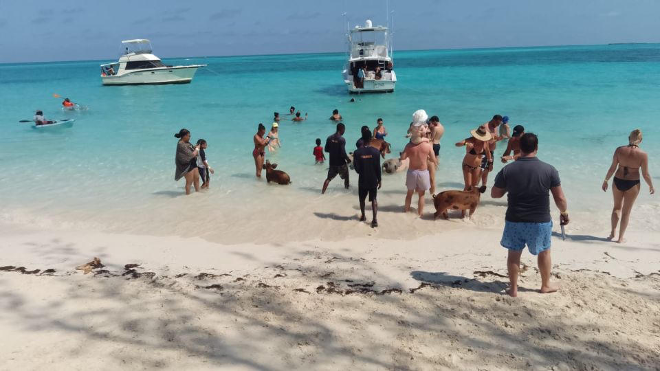 Nassau: Swimming Pigs Private Boat Tour - Up to 7 Persons - Tour Itinerary Overview