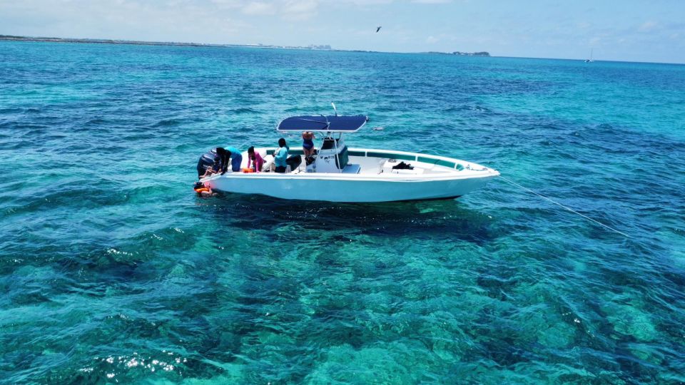 Nassau: Swimming Pigs Private Boat Tour - Up to 7 Persons - Packing and Preparation Tips