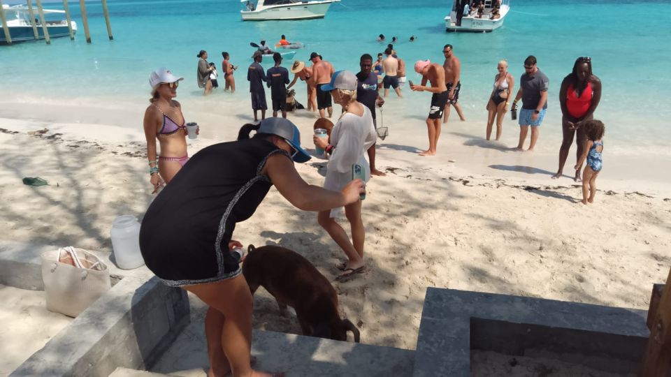 Nassau: Swimming Pigs Private Boat Tour - Up to 7 Persons - Additional Information