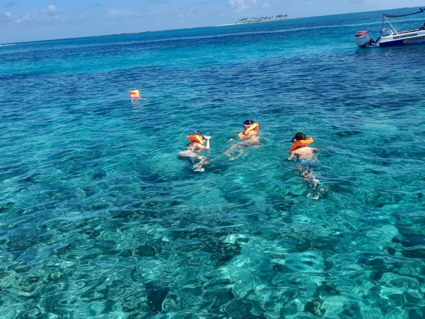 Nassau: Swimming Pigs Private Boat Tour - Up to 7 Persons - Frequently Asked Questions