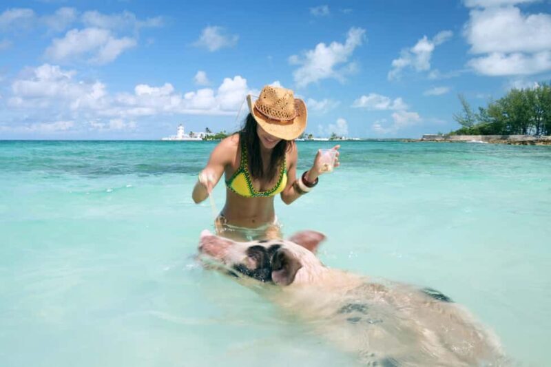 Nassau: Swimming Pigs, Snorkeling, Lunch, & Beach Boat Tour - Key Points